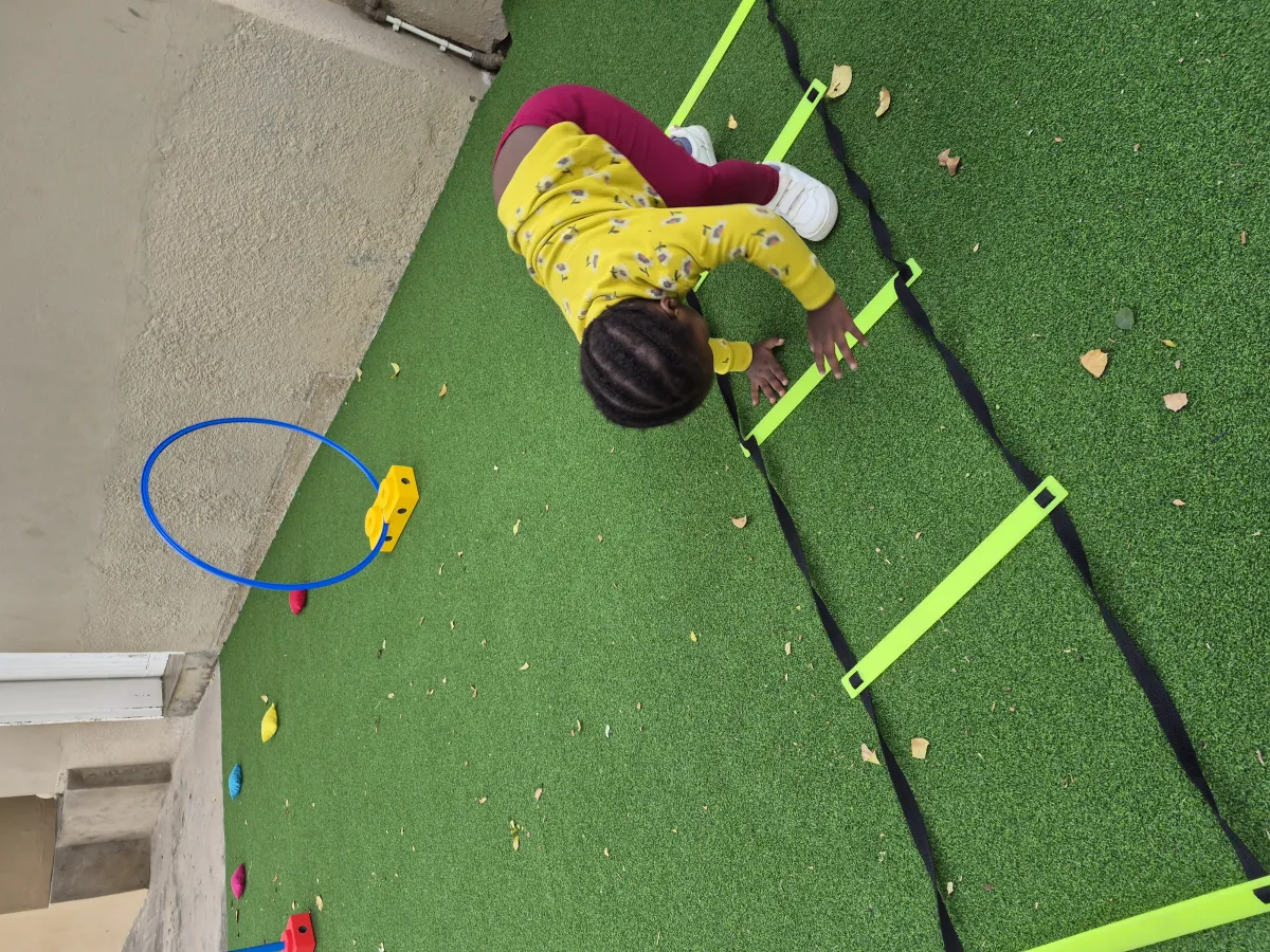 Gym Rings & Crawl Tunnel